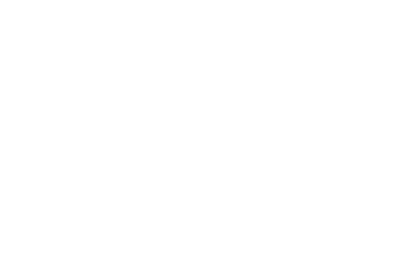 adient
