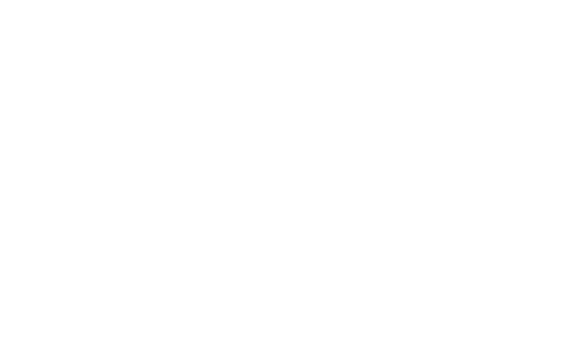 frisa