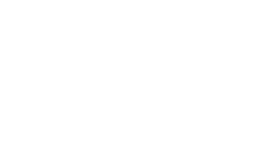 interjet